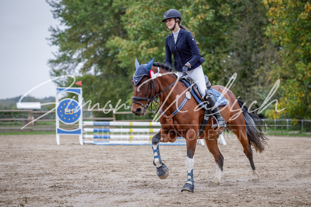 20251012-_3LI3593 | Tierfotografie Pferde, Hunde, Katzen, Haustiere.
Turnierfotografie Reitturniere, Reiten, Springreiten, Dressur in Hanau, dem Main-Kinzig-Kreis und dem Rhein-Main- Gebiet um Frankfurt
