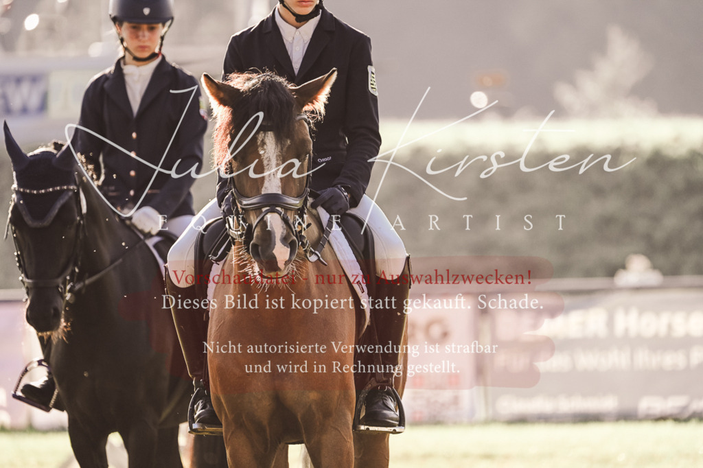 DSC_4541 | Pferde- und Turnierfotografie in Westsachsen. Pferdeportraits, Auftragszeichnungen und intuitive Kunst.