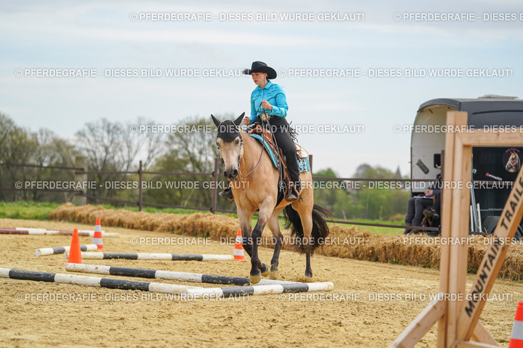 DSC03400 | Pferdegrafie