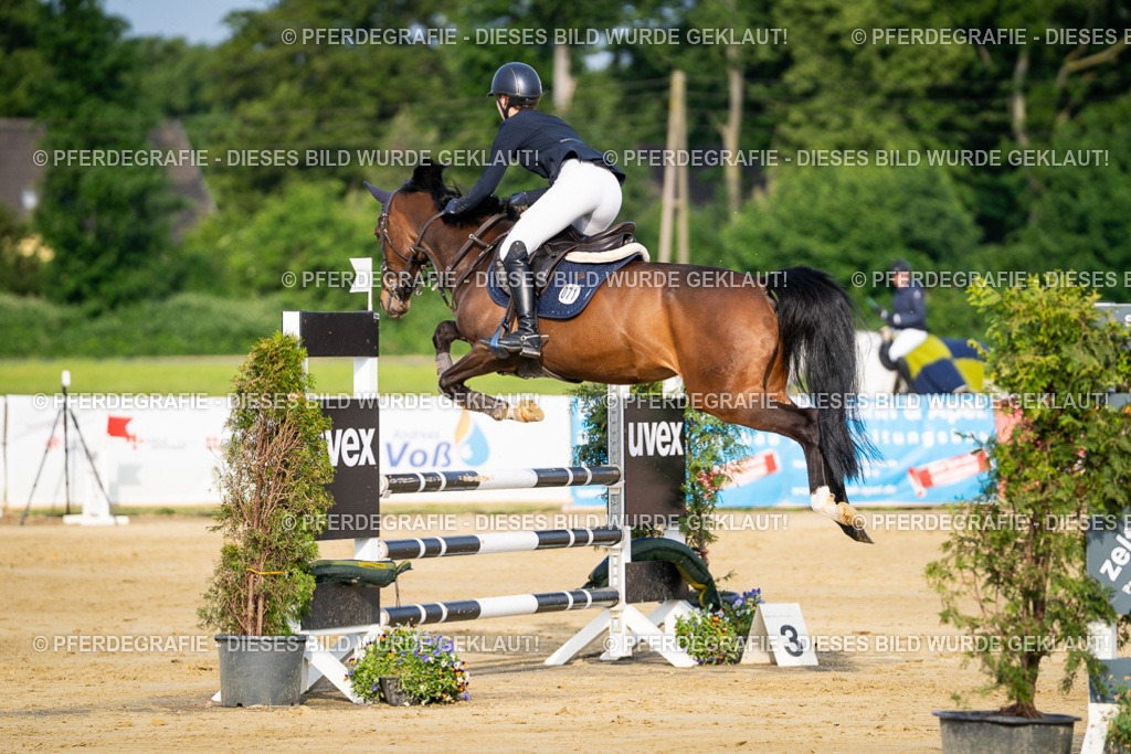 DSC02594 | Pferdegrafie