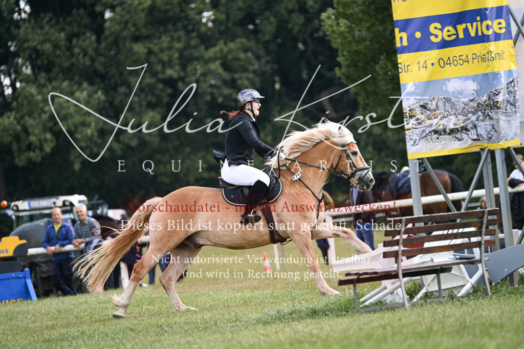 DSC_9049 | Pferde- und Turnierfotografie in Westsachsen. Pferdeportraits, Auftragszeichnungen und intuitive Kunst.