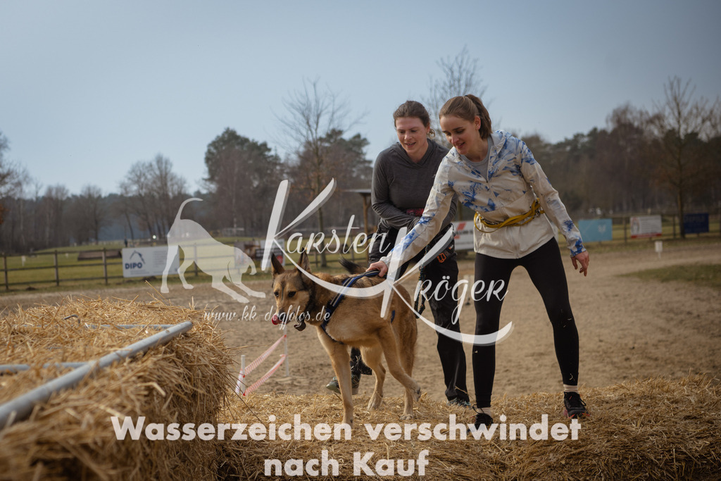 1131_ZZ93988 | kk-dogfotos