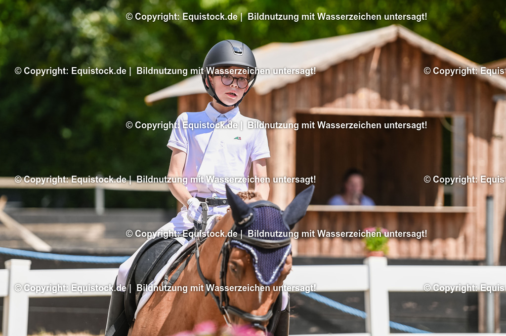 20230715_09_Dressur-WB_0427 | equistock