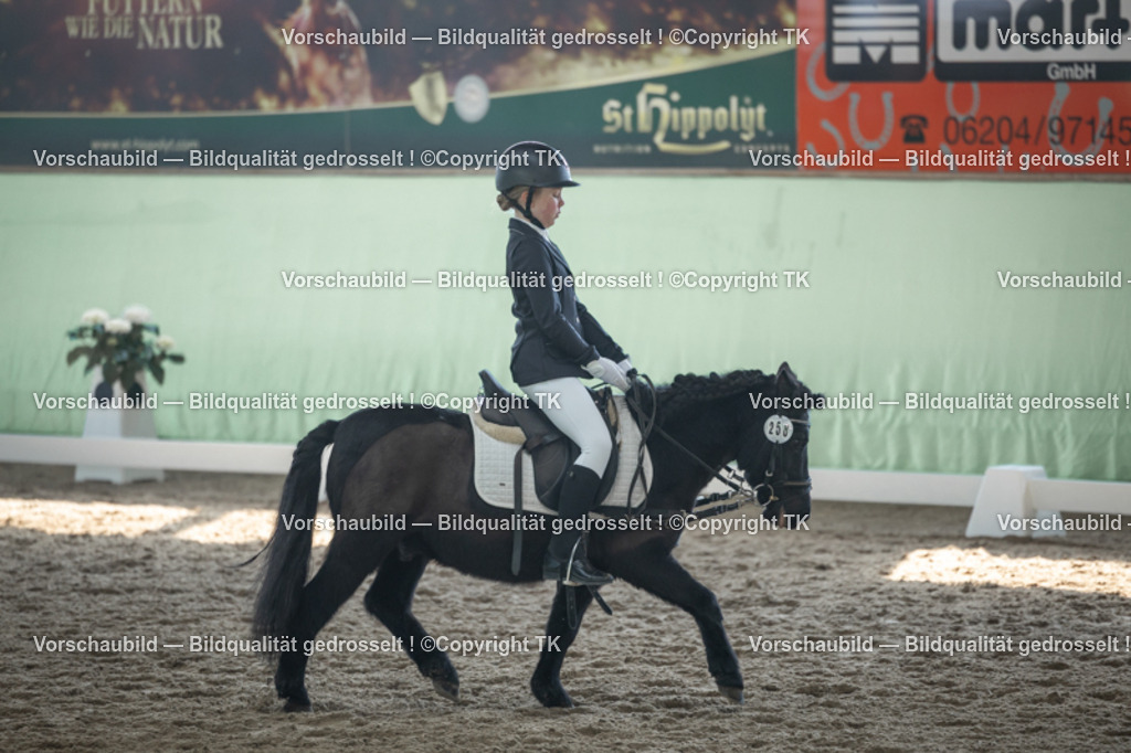 _D5A8816 | Emotionale Pferde- & People-Fotografie rund um Heidelberg, Leimen & Umgebung. Natürliche Fotos von Pferd, Mensch & Familie. Jetzt Termin sichern!