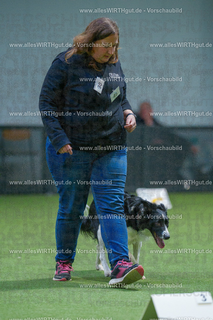 7R500613 | Professionelle Tierfotografie in Mönchengladbach von Daniel Wirth (allesWIRTHgut). Liebevolle & natürliche Bilder von Hunden & Katzen für unvergessliche Erinnerungen.