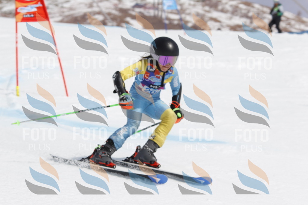 _U3G2087 | holidayphoto