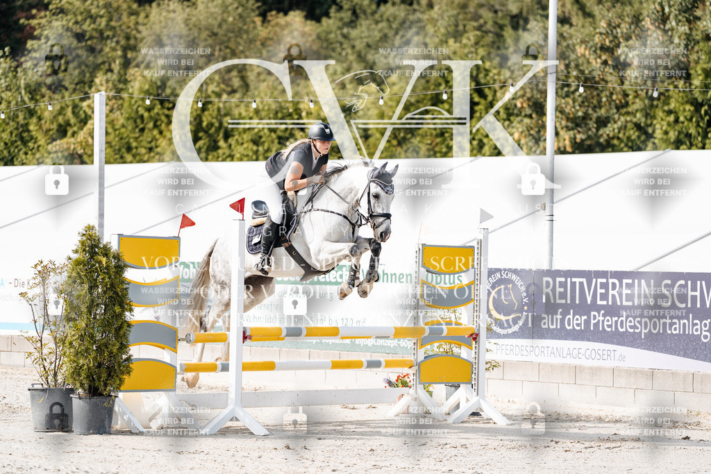 CK905403 | Turnierfotografie Pferdefotografie Trier Rheinland-Pfalz Pferdesport Reitsport Tierfotografie Sportfotografie Pferdevideo Pferdevideografie Equestrianvideography equestrianphotography  - Realisiert mit Pictrs.com