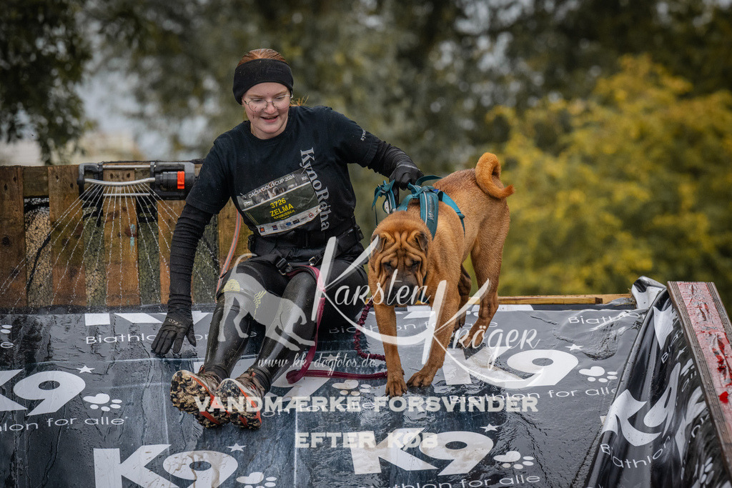 1220_ZZ94891 | kk-dogfotos