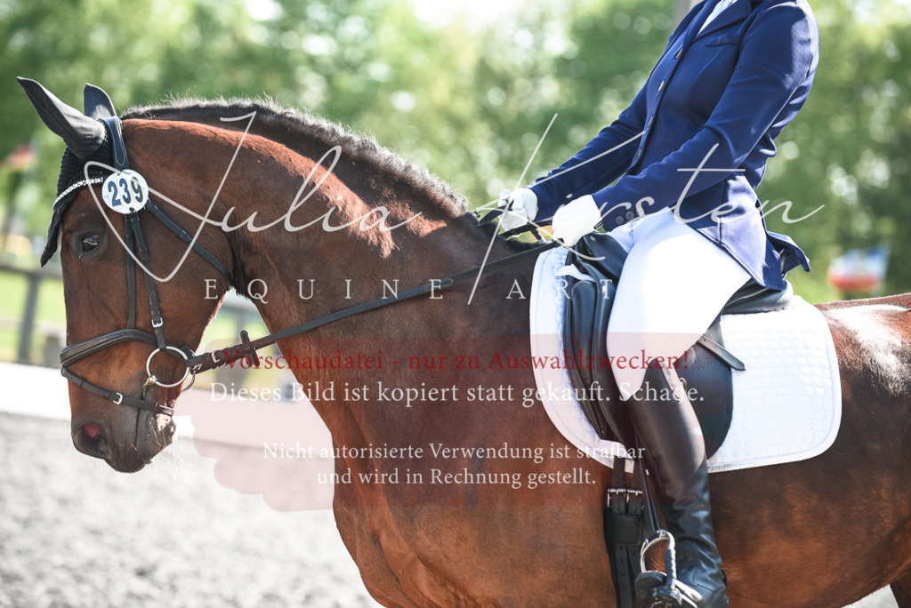 DSC_8790 | Pferde- und Turnierfotografie in Westsachsen. Pferdeportraits, Auftragszeichnungen und intuitive Kunst.