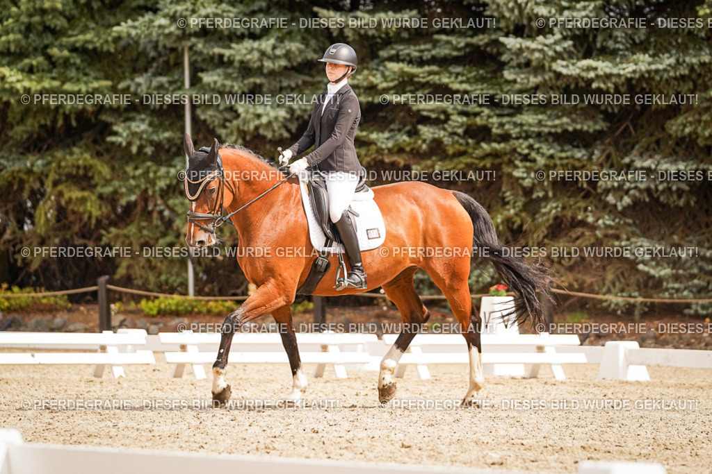 DSC01816 | Pferdegrafie