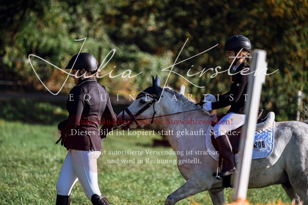 DSC_0439 | Pferde- und Turnierfotografie in Westsachsen. Pferdeportraits, Auftragszeichnungen und intuitive Kunst.