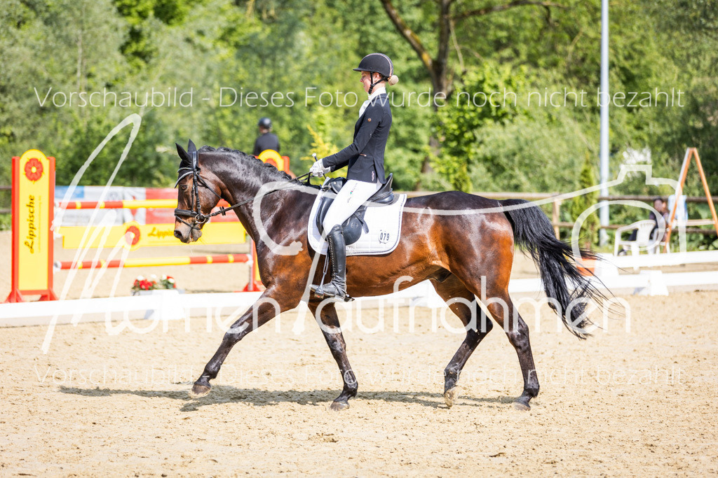 Donop24-A2-Dre-070 | MomenTaufnahmen Pferdesportfotos