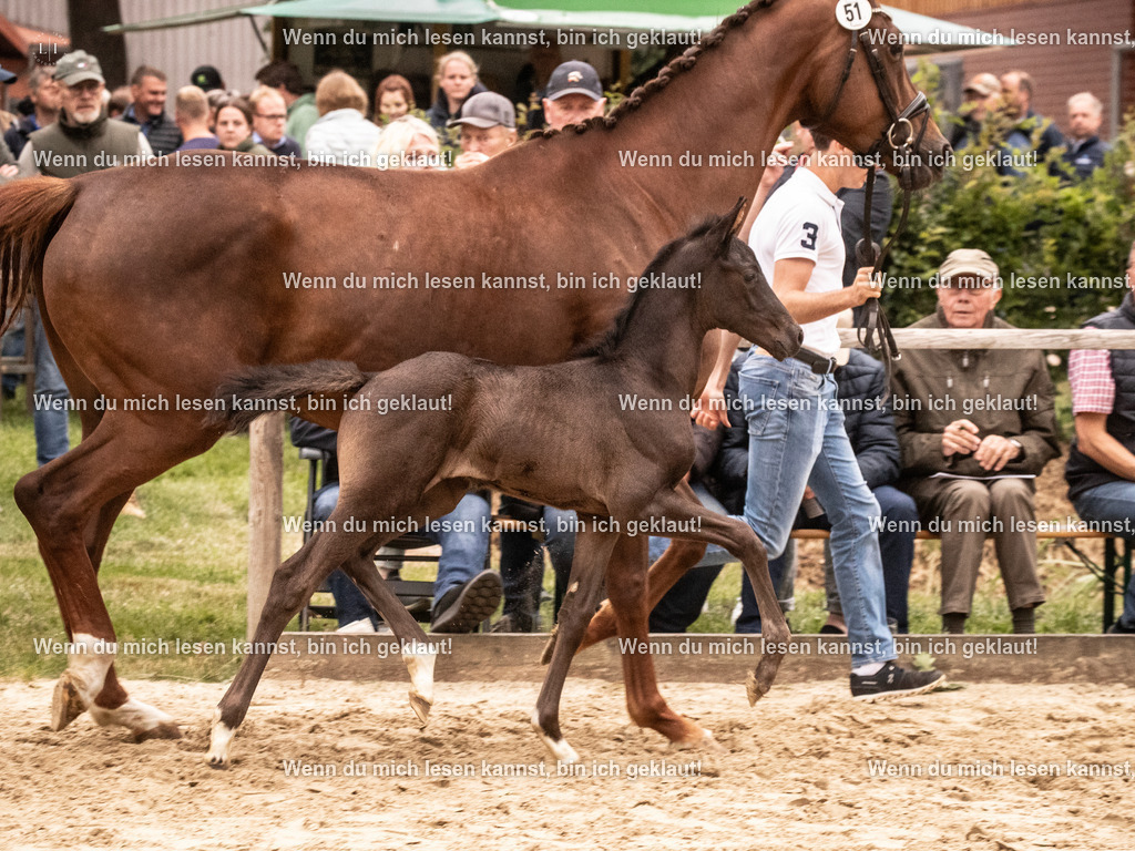 A10I5080 | photographylinaismer - Realisiert mit Pictrs.com