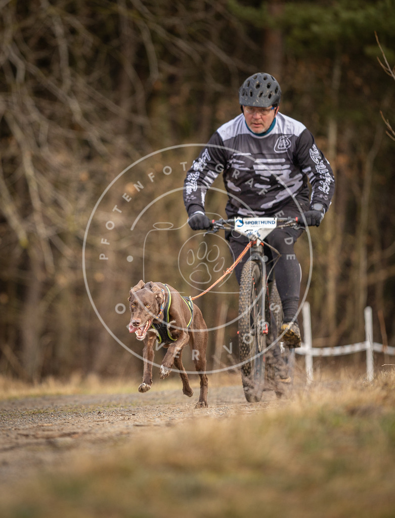 DV3A3448 | Hundefotografie, Tierfotograf, Pfotenfotografie, Fotoshooting Hund, Hunde Portrait, Hundesport, Hundeportraits, Heideshooting, Hunde, Sportfotograf, Hundefotograf, Turnierhundsport, THS,  - Realisiert mit Pictrs.com