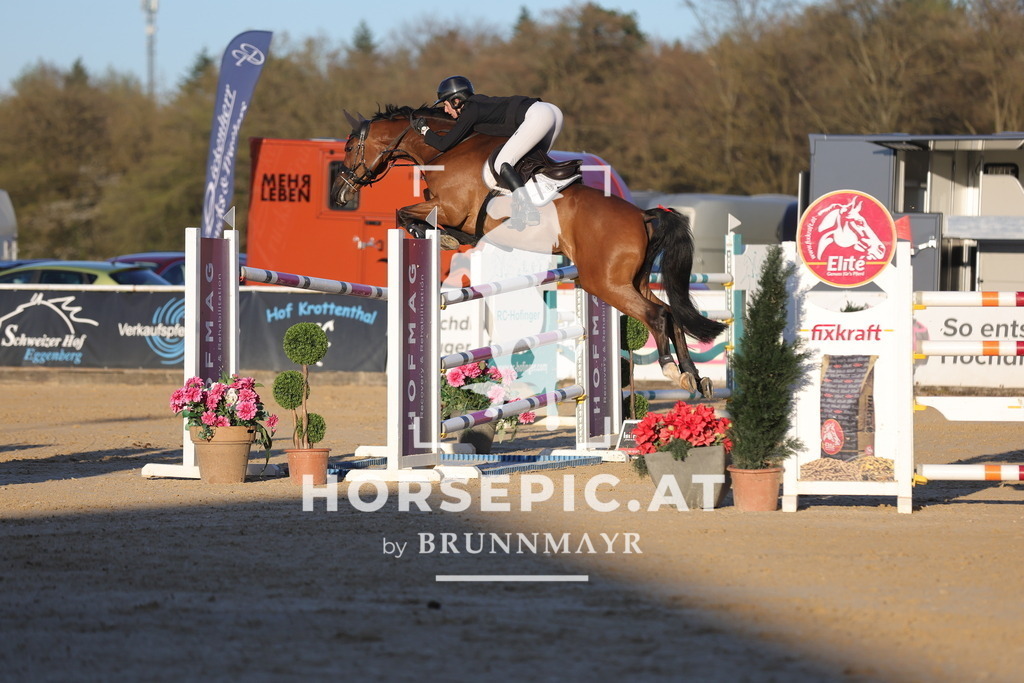 0P6A2660 | Willkommen bei Brunnmayr - Design & Fotografie – Ihrem Spezialisten für Reitturniere und Pferdeveranstaltungen in Oberösterreich, Salzburg und Bayern! Seit über 17 Jahren sind wir leidenschaftlich dabei.