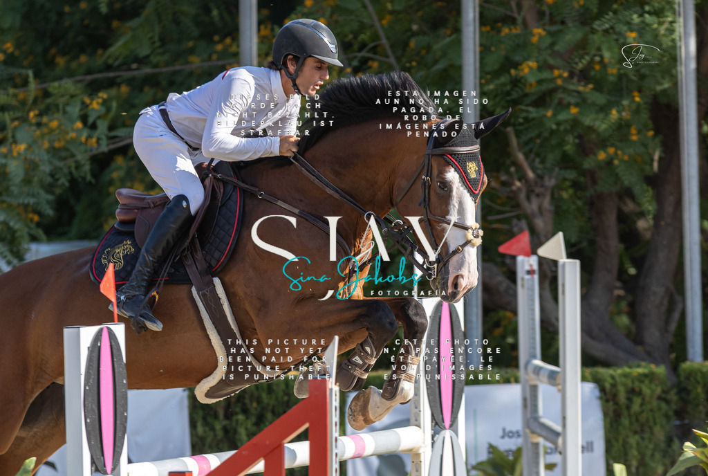 IMG_9214 | s-jay-photography - Realisiert mit Pictrs.com