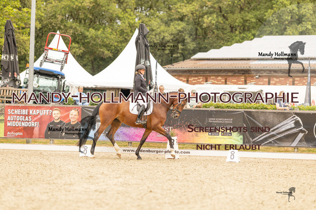 SW 4-230 | mandyhollmannphotographie
