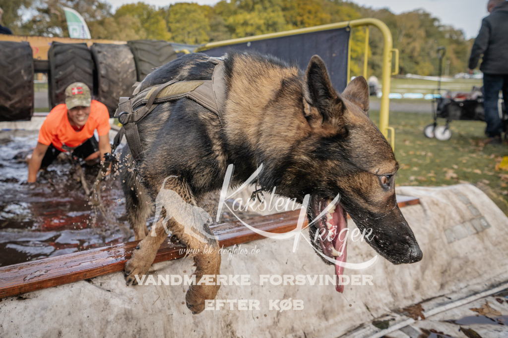 1450_ZZ90403 | kk-dogfotos