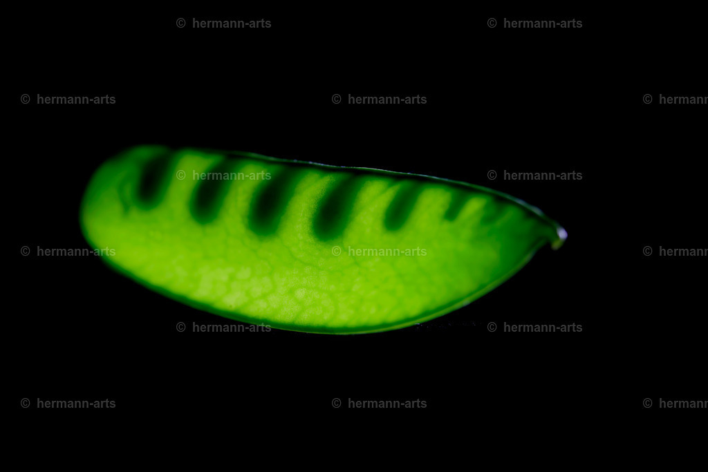 Fruits-Art-050 | Photo Foto Kunst Art schwarzweiss Bilder Rheine Münster Berlin Blumen 