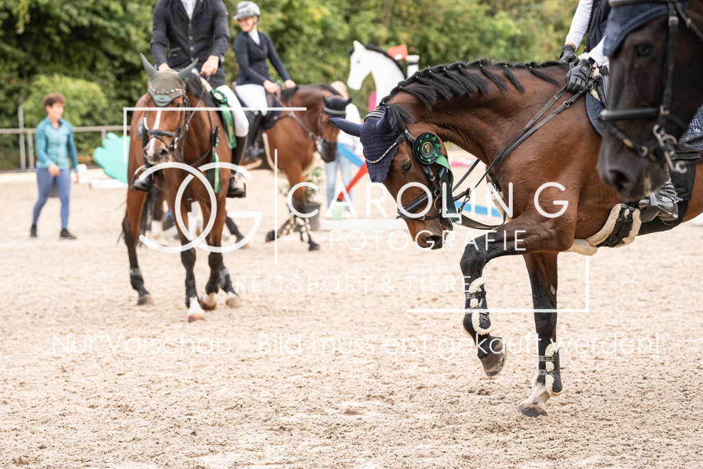 DSC03143 | Carolin Gieschke