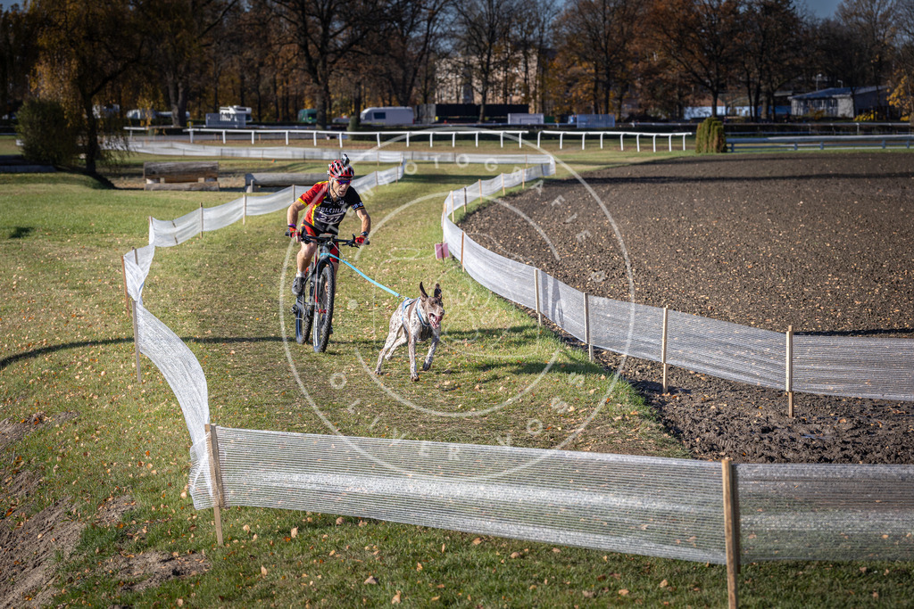 CaniXpix_DV3A5413 | Hundefotografie, Tierfotograf, Pfotenfotografie, Fotoshooting Hund, Hunde Portrait, Hundesport, Hundeportraits, Heideshooting, Hunde, Sportfotograf, Hundefotograf, Turnierhundsport, THS,  - Realisiert mit Pictrs.com