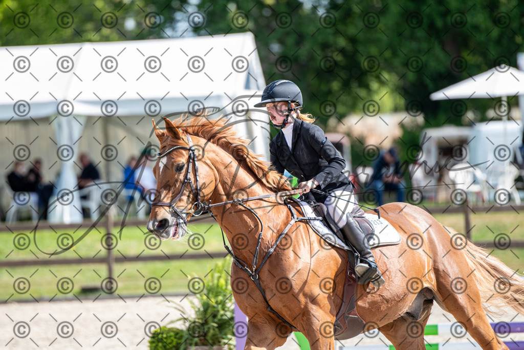 KPT_4902 | andre_photographic