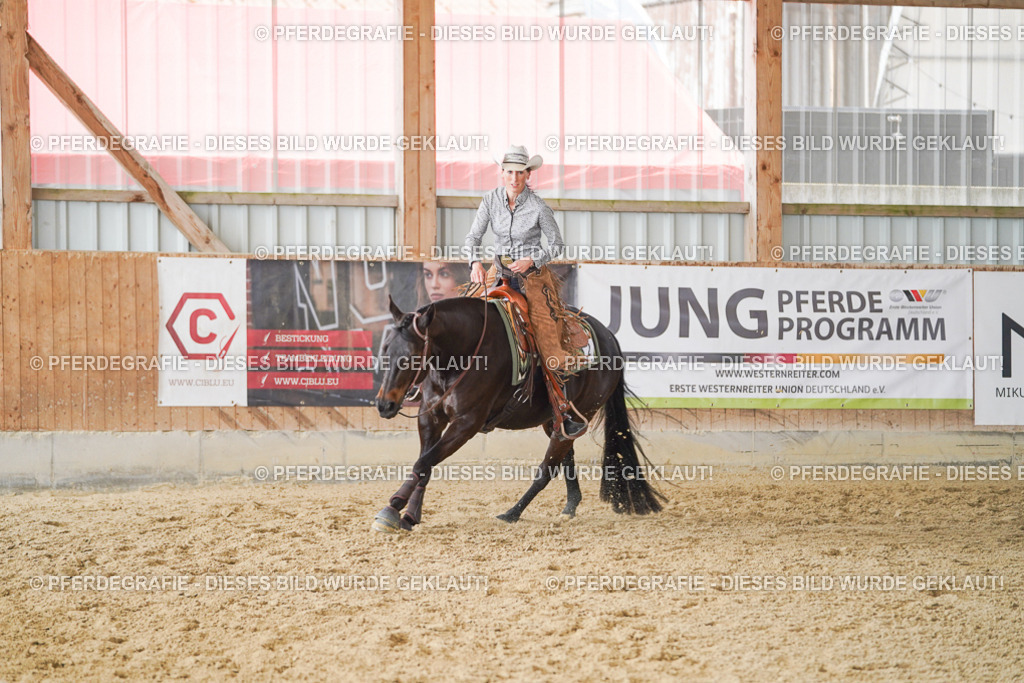 DSC02199 | Pferdegrafie