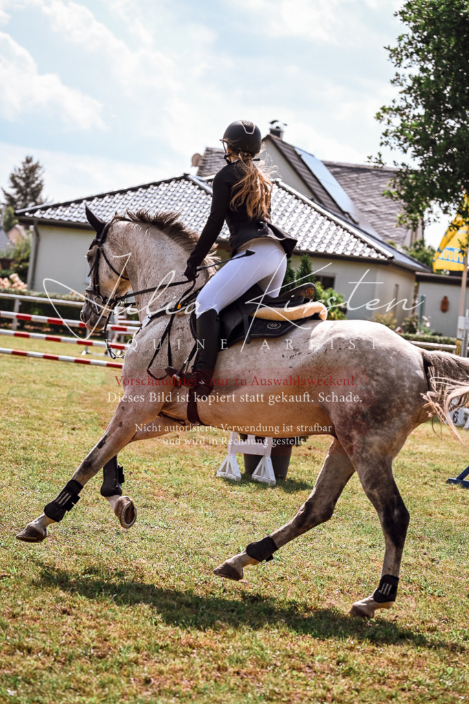 DSC_7741 | Pferde- und Turnierfotografie in Westsachsen. Pferdeportraits, Auftragszeichnungen und intuitive Kunst.