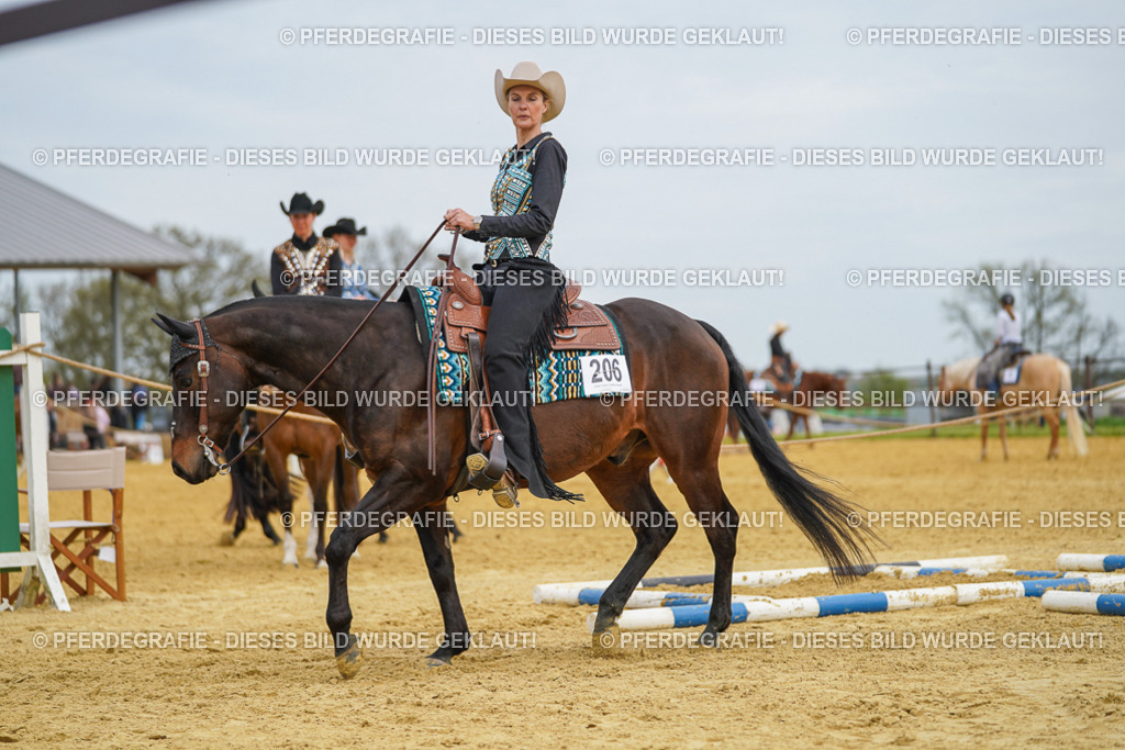 DSC03233 | Pferdegrafie