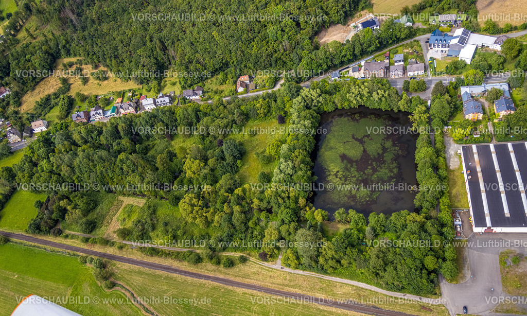 BadLaasphe240709519 | Luftbild, Waldgebiet mit Teich Amalienhütter Weiher, Wohngebiet, Niederlaasphe, Bad Laasphe, Wittgensteiner Land, Nordrhein-Westfalen, Deutschland