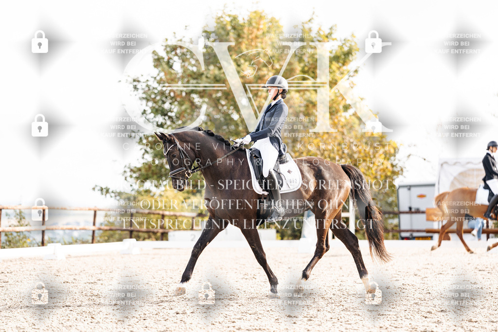 CK901078 | Turnierfotografie Pferdefotografie Trier Rheinland-Pfalz Pferdesport Reitsport Tierfotografie Sportfotografie Pferdevideo Pferdevideografie Equestrianvideography equestrianphotography  - Realisiert mit Pictrs.com