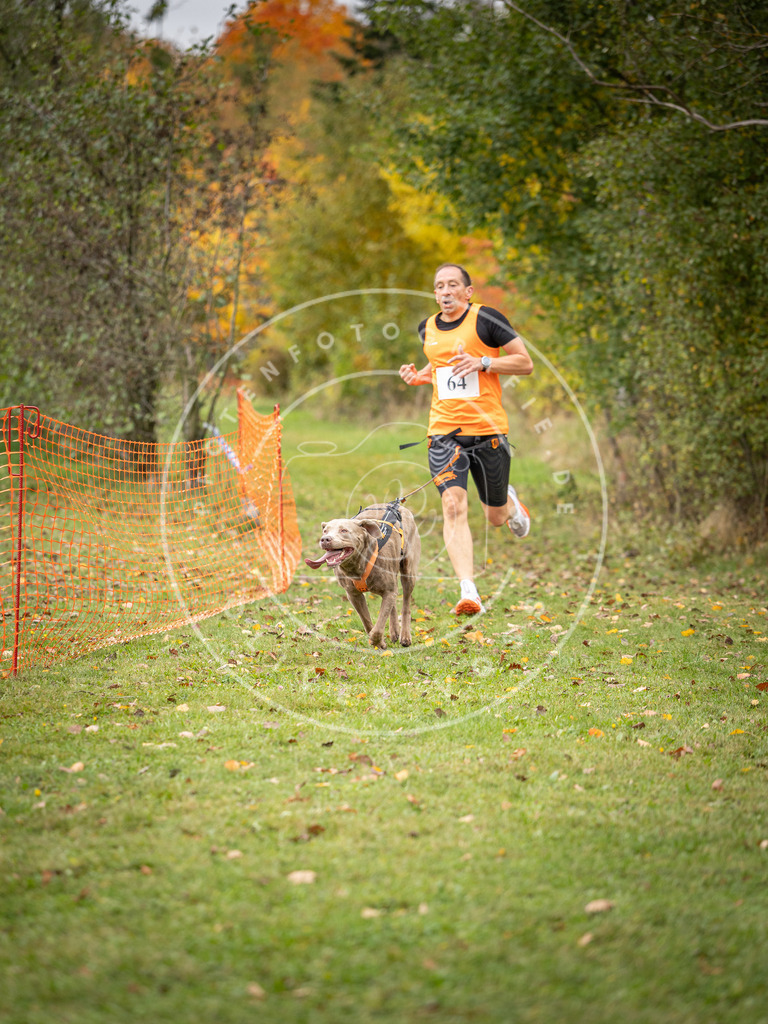 Pfotenfotografie_DV3A2731 | Hundefotografie, Tierfotograf, Pfotenfotografie, Fotoshooting Hund, Hunde Portrait, Hundesport, Hundeportraits, Heideshooting, Hunde, Sportfotograf, Hundefotograf, Turnierhundsport, THS,  - Realisiert mit Pictrs.com