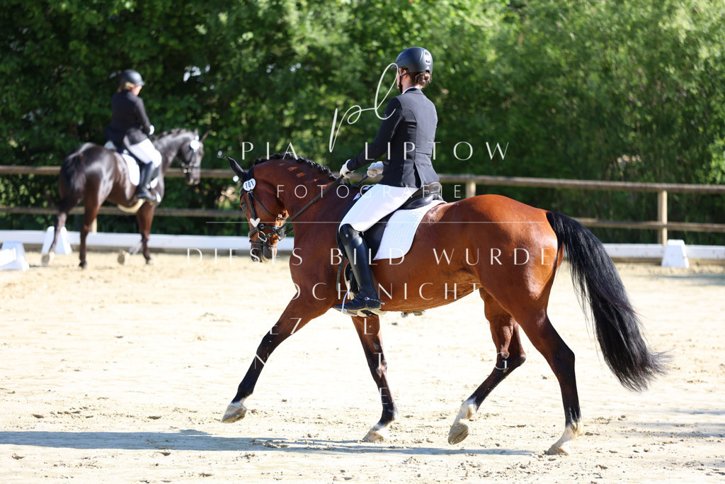 IMGT2721 | pl-fotografie