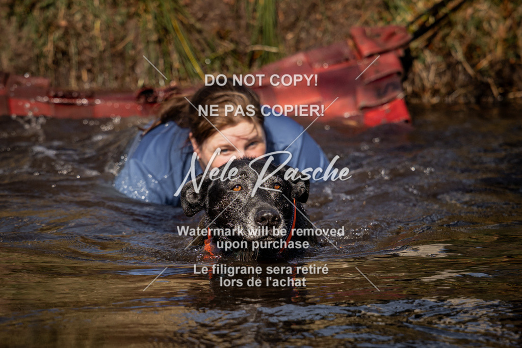 nelerasche_FS1100-1145_184 | nelerasche