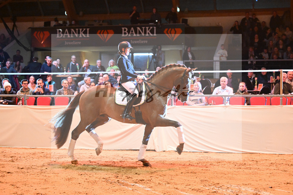 DSP Va Bene_Wadenspanner_1234111 | hf-fotografie - Realisiert mit Pictrs.com