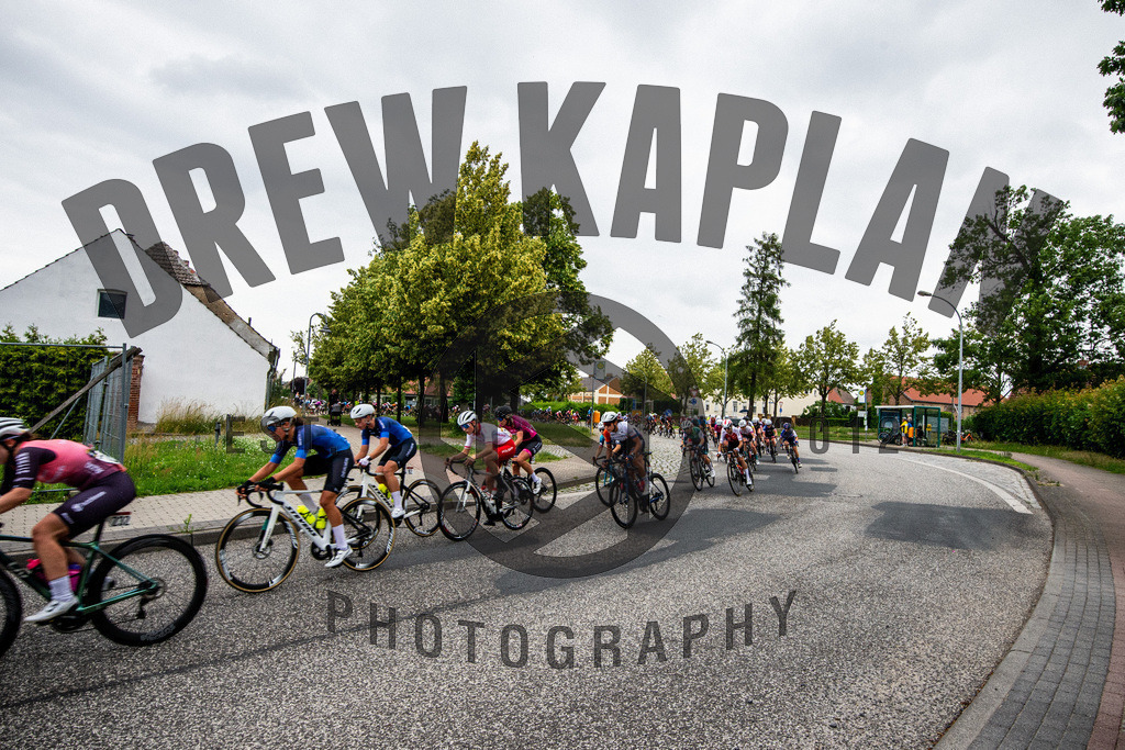 _DSC4855 | Drew Kaplan Photography