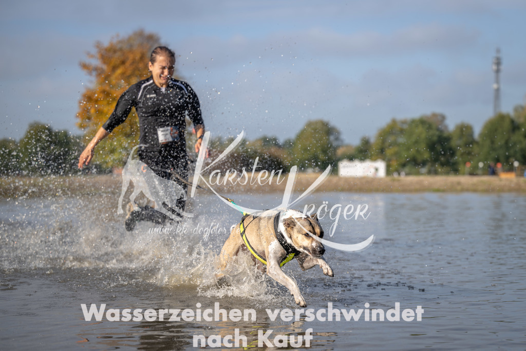 1039_ZZ94386 | kk-dogfotos