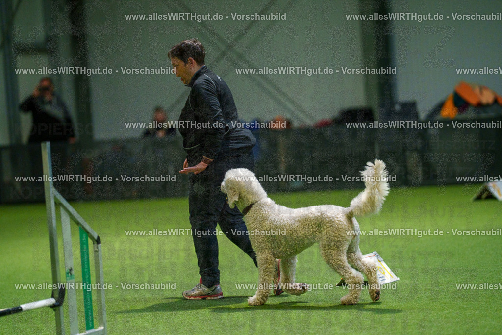 7R505564 | Professionelle Tierfotografie in Mönchengladbach von Daniel Wirth (allesWIRTHgut). Liebevolle & natürliche Bilder von Hunden & Katzen für unvergessliche Erinnerungen.