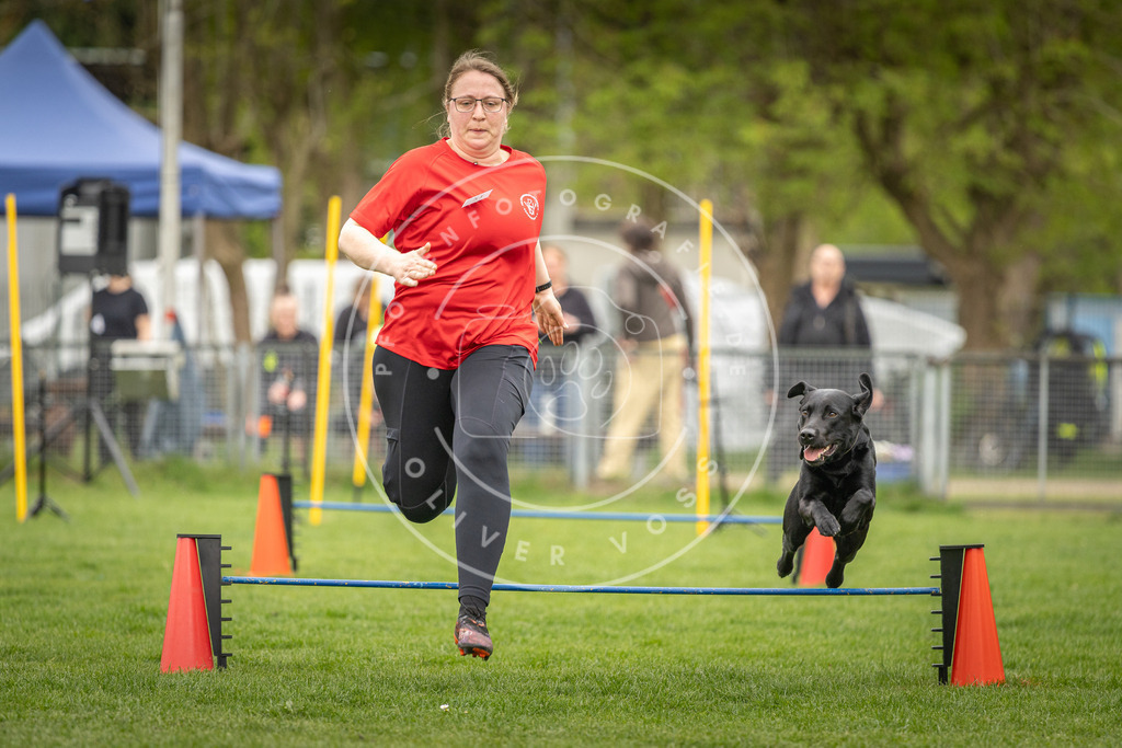 Pfotenfotografie_DV3A0953 | Hundefotografie, Tierfotograf, Pfotenfotografie, Fotoshooting Hund, Hunde Portrait, Hundesport, Hundeportraits, Heideshooting, Hunde, Sportfotograf, Hundefotograf, Turnierhundsport, THS,  - Realisiert mit Pictrs.com