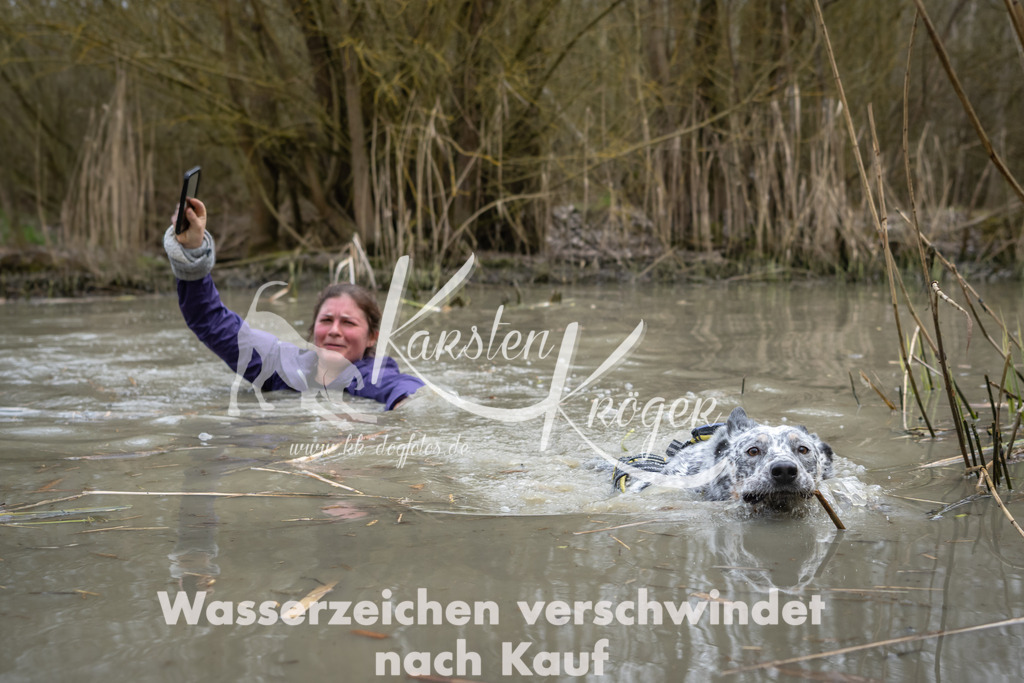 1431_ZZ99414 | kk-dogfotos