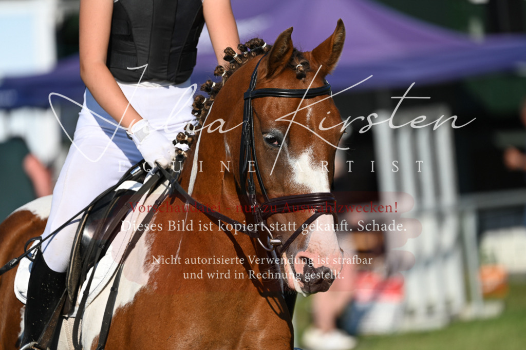 DSC_4883 | Pferde- und Turnierfotografie in Westsachsen. Pferdeportraits, Auftragszeichnungen und intuitive Kunst.