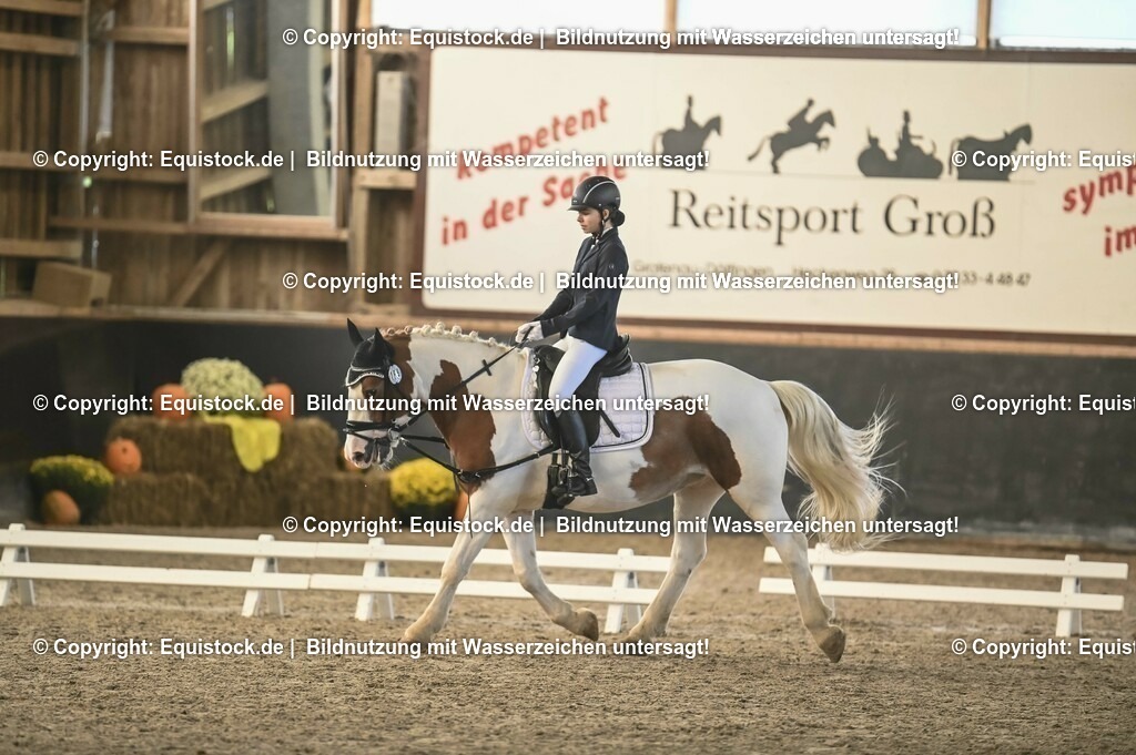 03_Reiter-WB_0224 | Foto: Thomas Hartig