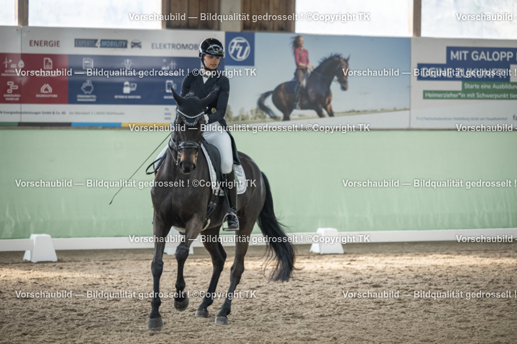 _D5A4775 | Emotionale Pferde- & People-Fotografie rund um Heidelberg, Leimen & Umgebung. Natürliche Fotos von Pferd, Mensch & Familie. Jetzt Termin sichern!