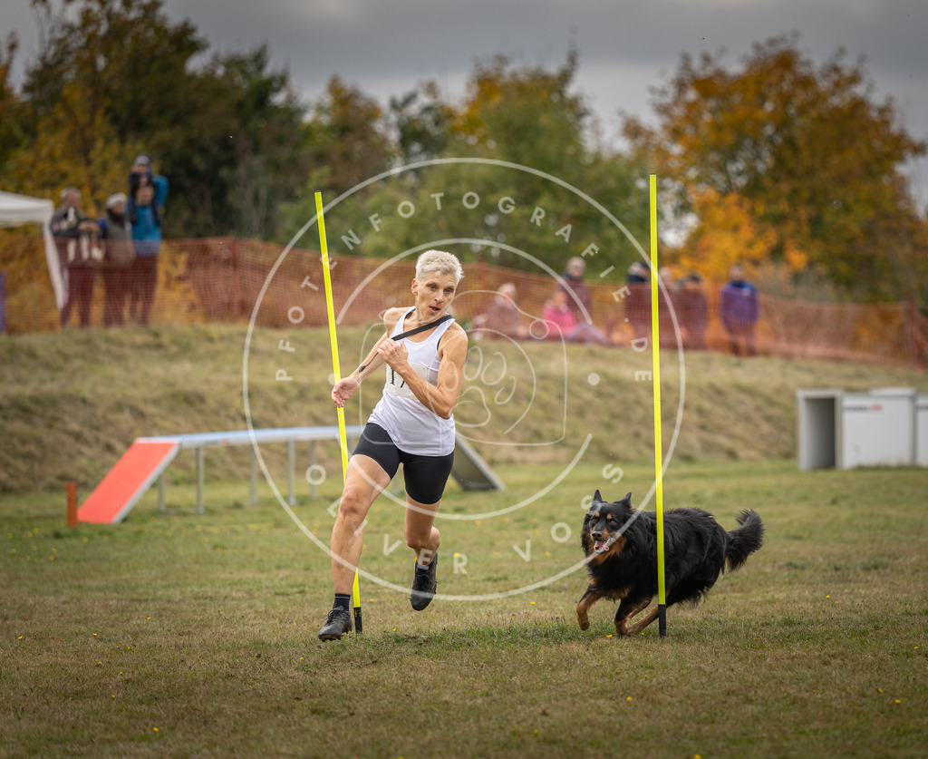 Pfotenfotografie_DV3A5753 | Hundefotografie, Tierfotograf, Pfotenfotografie, Fotoshooting Hund, Hunde Portrait, Hundesport, Hundeportraits, Heideshooting, Hunde, Sportfotograf, Hundefotograf, Turnierhundsport, THS,  - Realisiert mit Pictrs.com