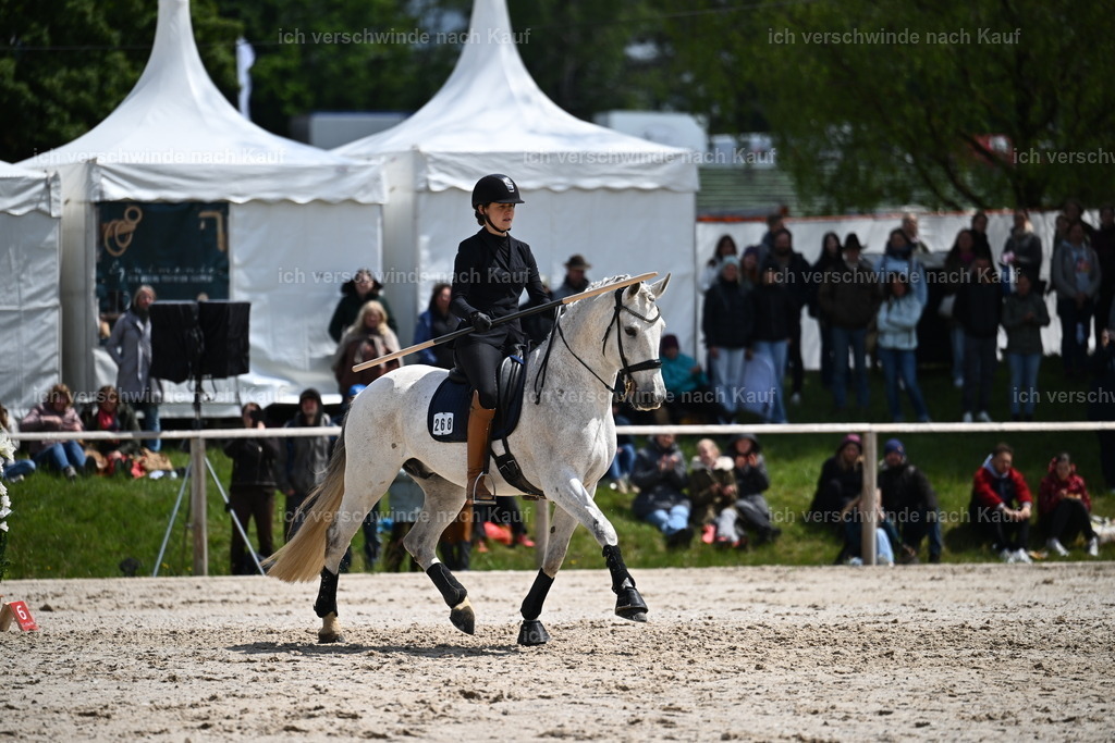 PI26_SP_Sara_Landvogt_226_5715.JPG | working equitationturnier fotograf videograf stoibphotography marixx film working equitation deutschland reitsport turnierfotografie eventfotografie equestrian events