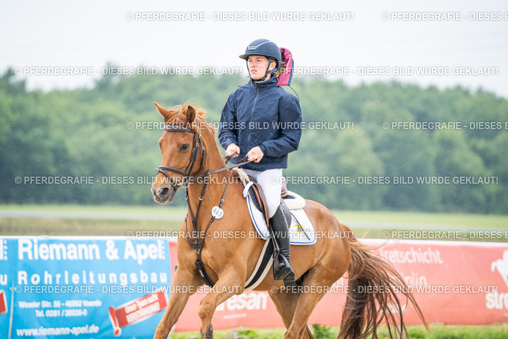 DSC00930 | Pferdegrafie