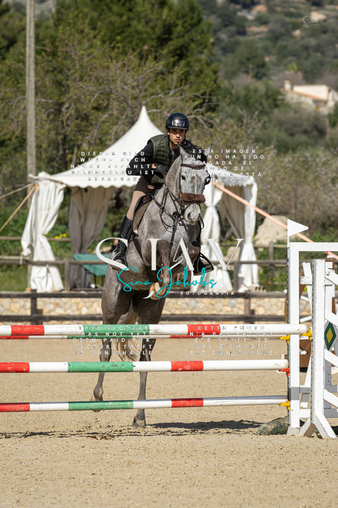 IMG_6767 | s-jay-photography - Realisiert mit Pictrs.com