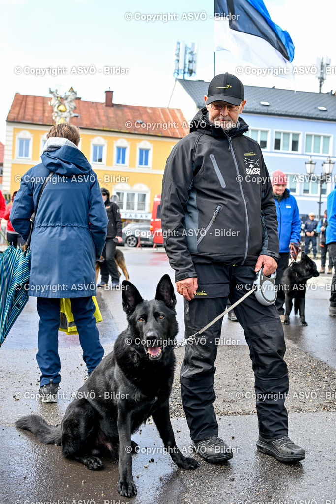 ASVÖ_ Tracking Dog World Championship 2025_ 31.03.2025-235 | 31.03.2025, AUT, ASVÖ, Tracking Dog World Championship // FCI IGP Fährtenhundeweltmeisterschaft 2025©fodo.media / Harald Dostal - Realisiert mit Pictrs.com