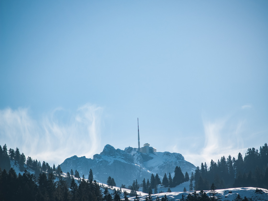 PSX_20230216_233250 | OLYMPUS DIGITAL CAMERA - Realisiert mit Pictrs.com