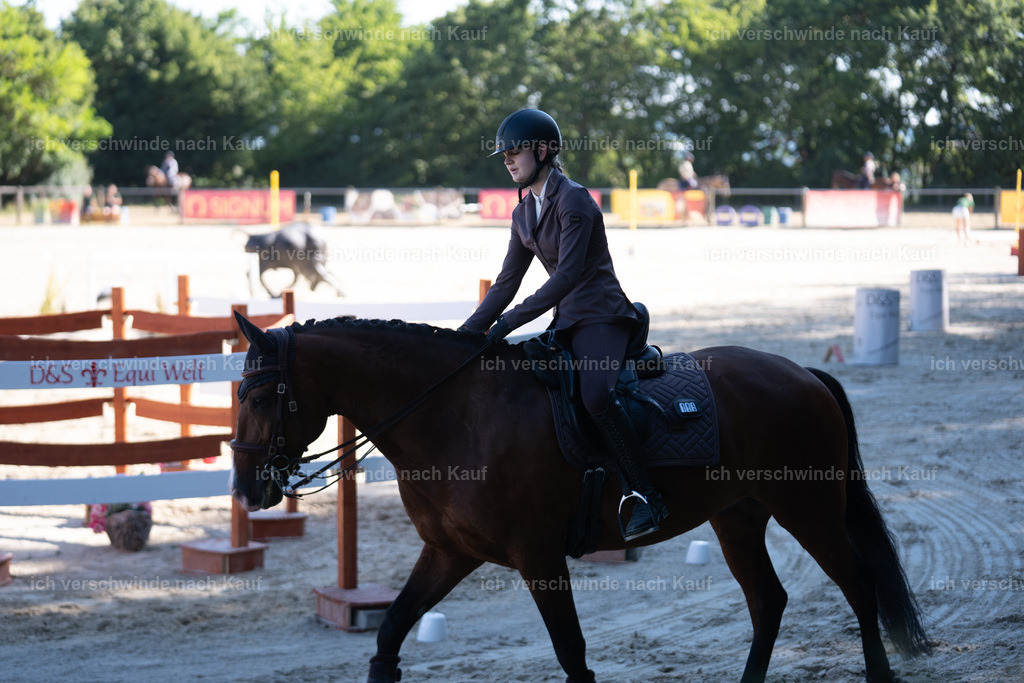 WL_SP_105_SinaFilmArt_IN05748 | working equitationturnier fotograf videograf stoibphotography marixx film working equitation deutschland reitsport turnierfotografie eventfotografie equestrian events